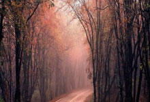 欧博：勒沃库森客场-绝杀斯图加特，双方各一粒乌龙，弗林蓬传射.