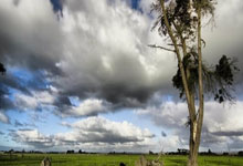 主帅波波维奇中风缺席 文班亚马砍50分助马刺报捷.