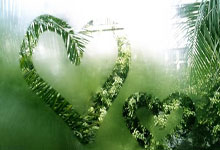 欧博:中国U17男足将举行年度第二期集训.